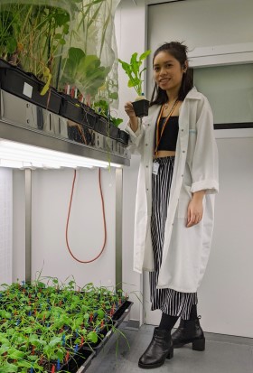 Anne Romero in the ECR at the University of Southampton surrounded by plants