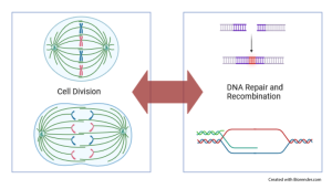 Science Diagram