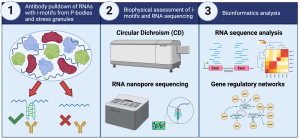 science diagrams