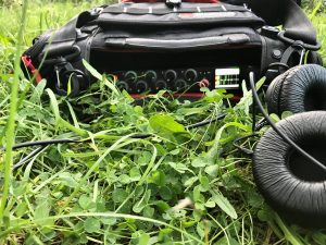Close up picture of portable stereo on grass and headphones in foreground