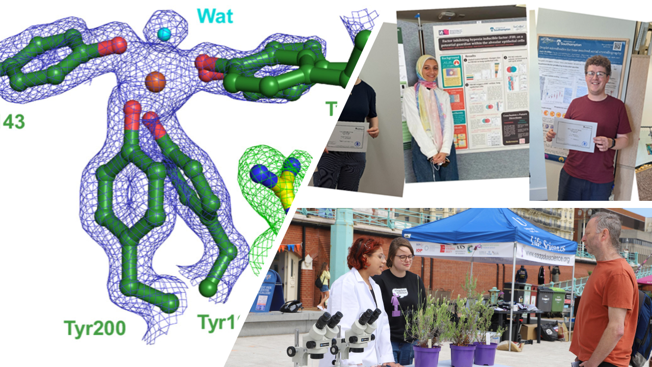 collage of images: science image, public engagement image, students at poster event