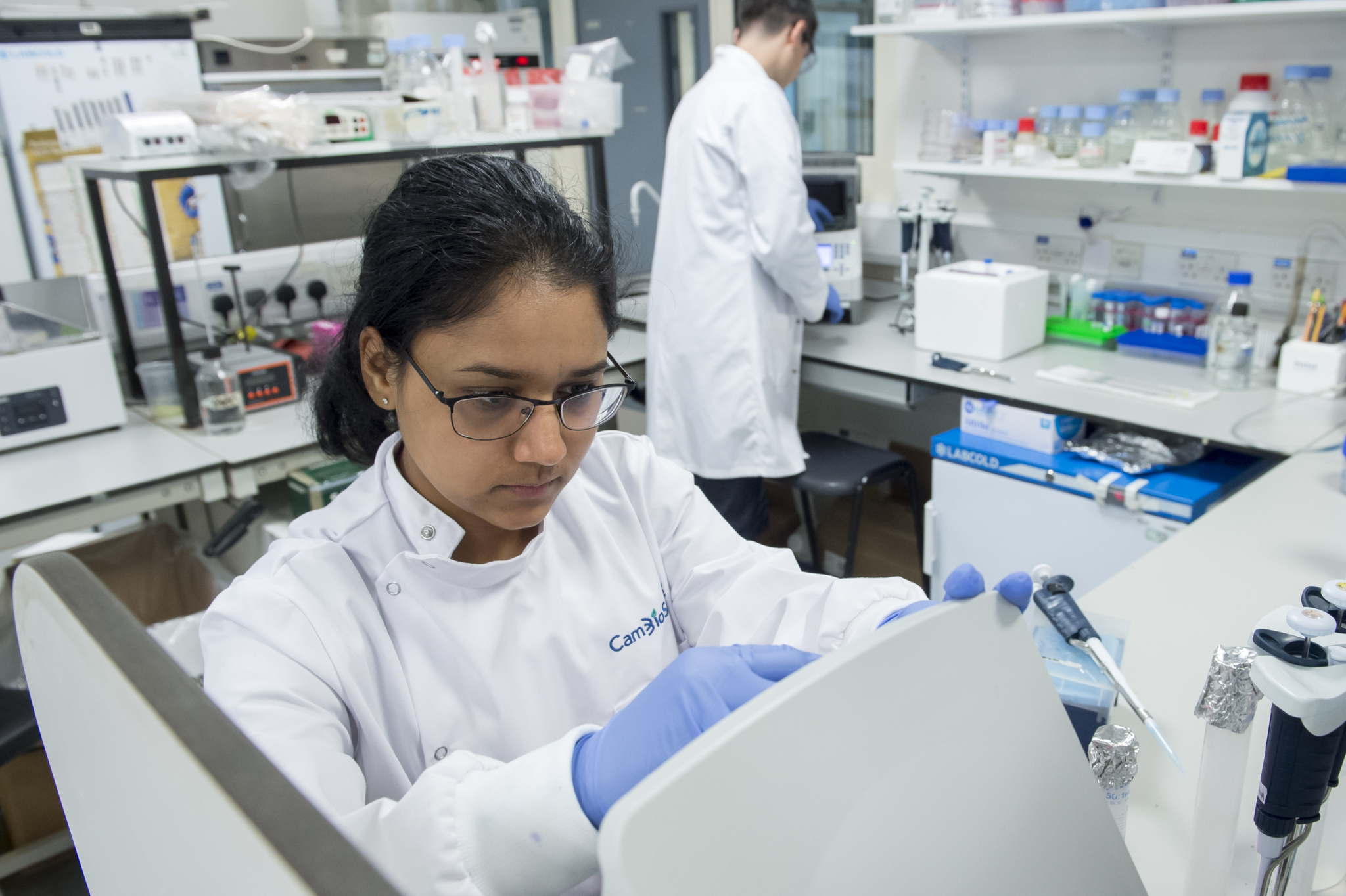Students in laboratory