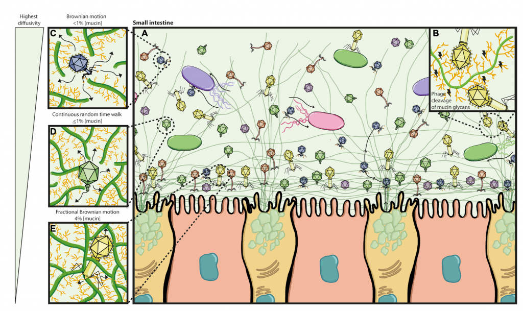 The summarising figure: