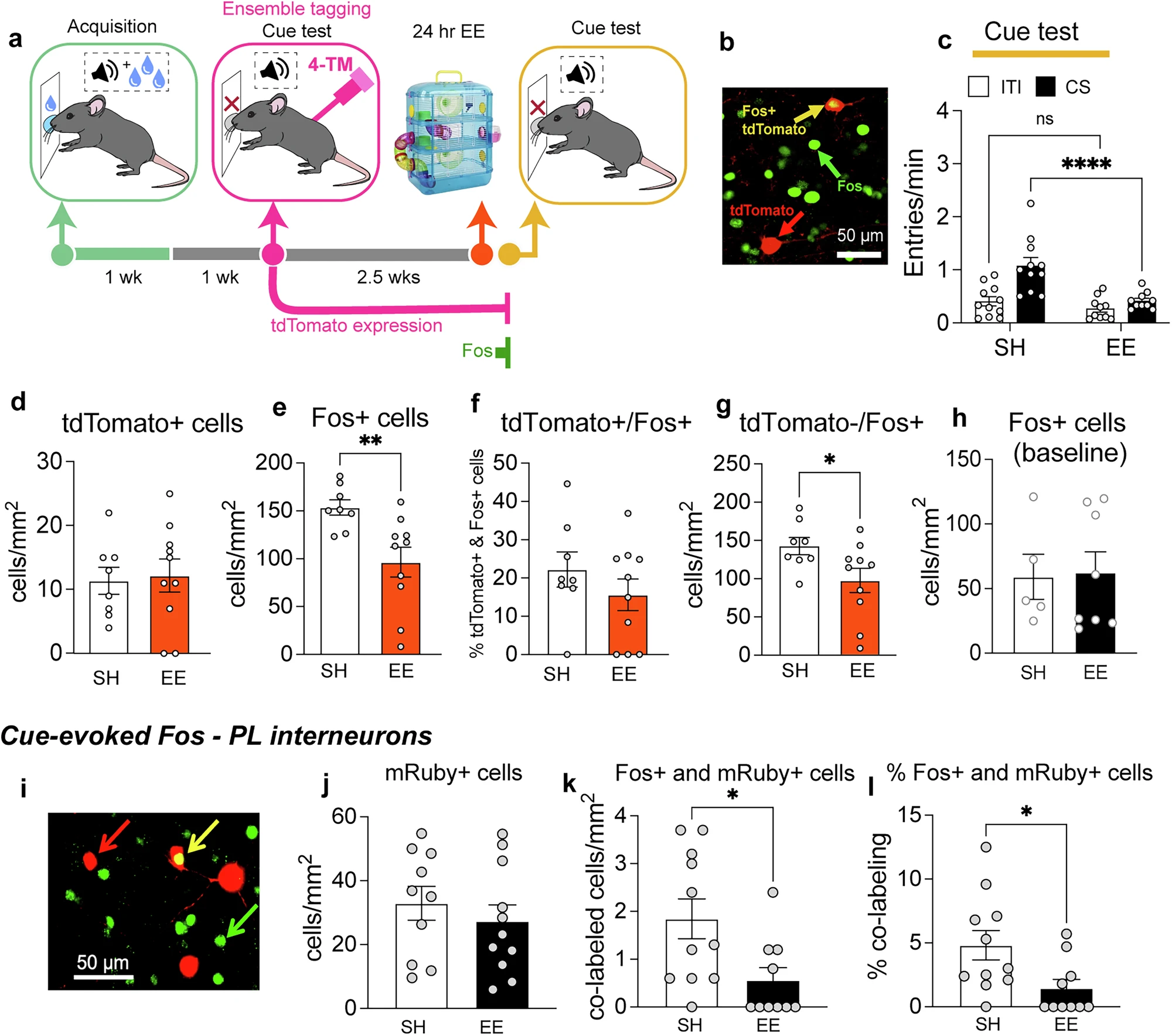 image of research findings