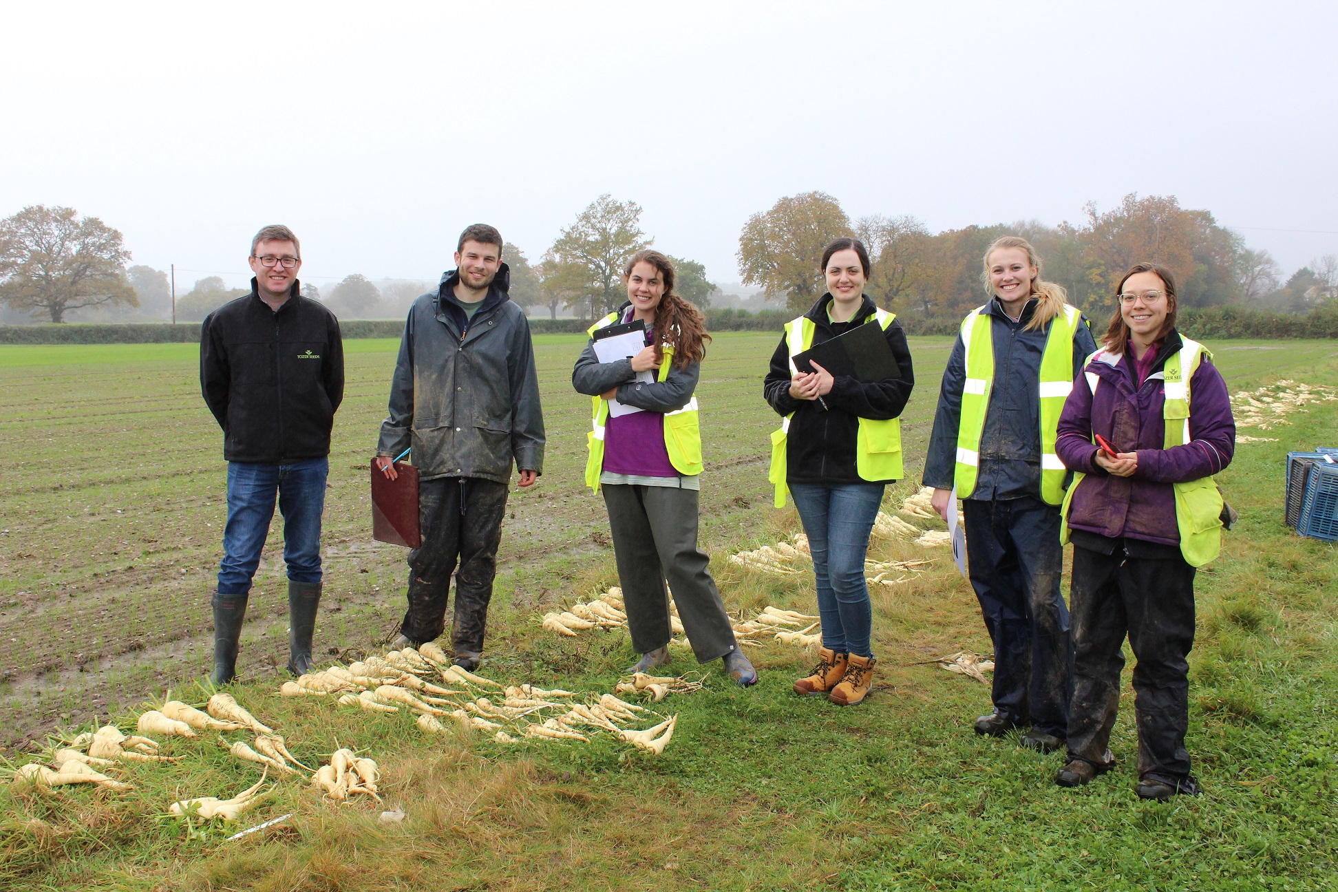 SoCoBio DTP student Annabelle standing with colleagues at Tozer in a field with parsnips laid out in row ready for assessing.